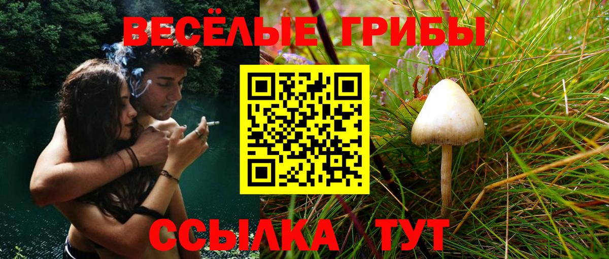 Галлюциногенные грибы Magic Shrooms Чита