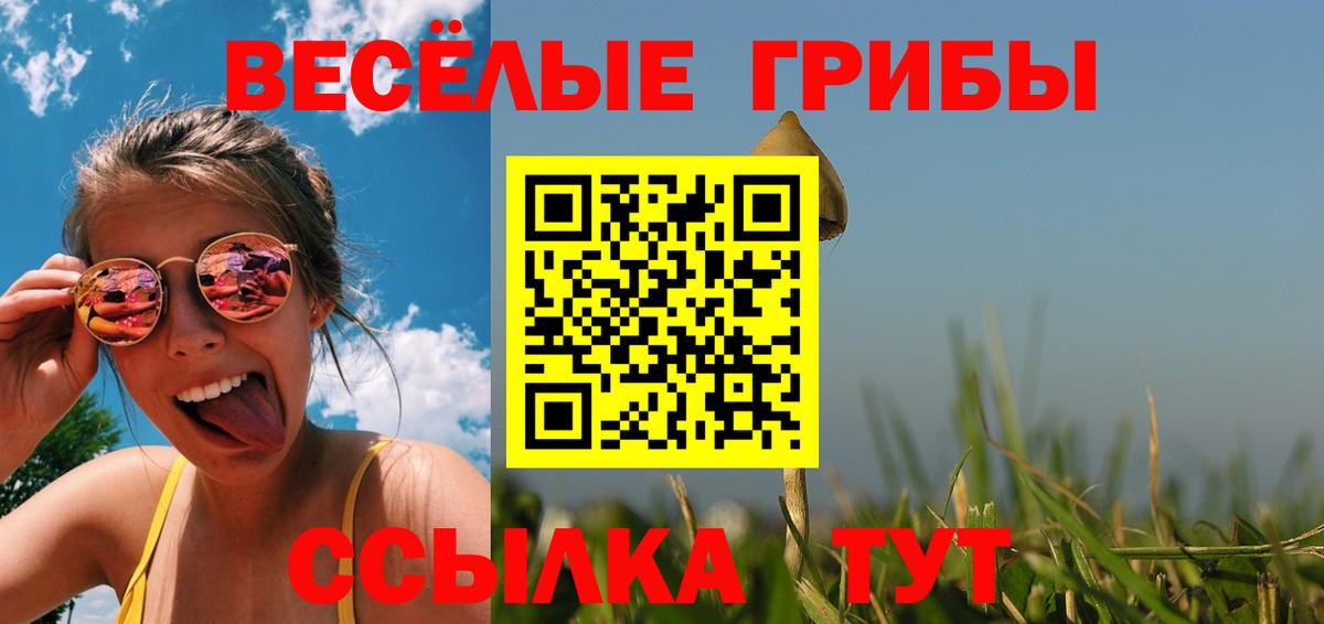 Галлюциногенные грибы Psilocybine cubensis  даркнет сайт  Вход с VPN  Чита  Галлюциногенные грибы ЛСД 
